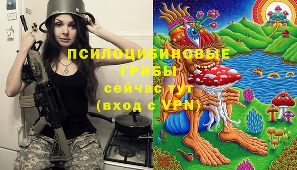 бошки Заволжье