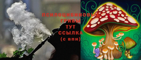 2c-b Заводоуковск